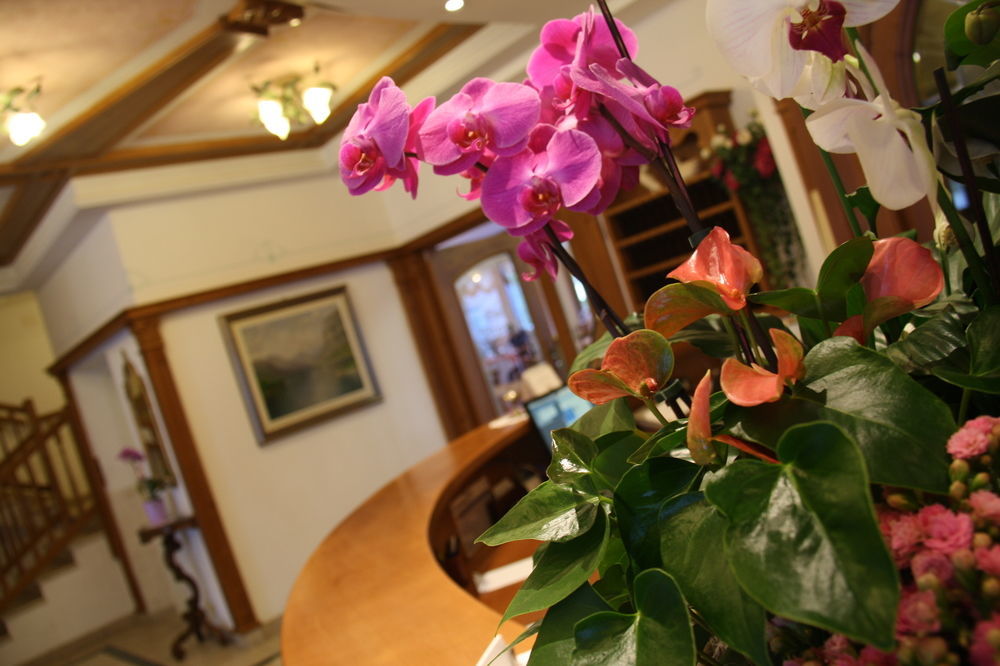 Hotel Ariston View Molveno